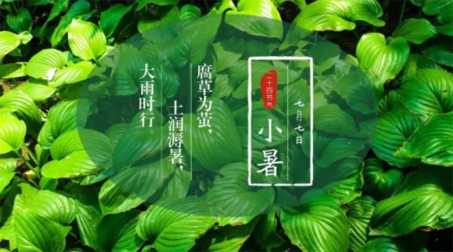 小暑時(shí)節(jié)來到！金環(huán)電器提醒大家要注意的事項(xiàng)