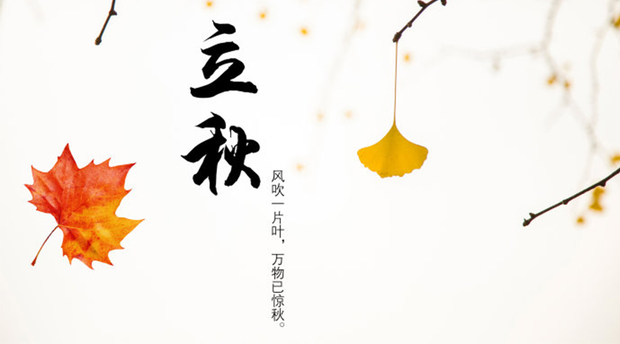 立秋時(shí)節(jié)！金環(huán)電器提醒大家要注意這些事項(xiàng)